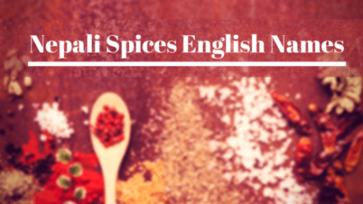 Nepali Masala in English