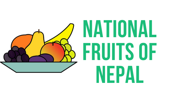 what is national fruit of nepal
